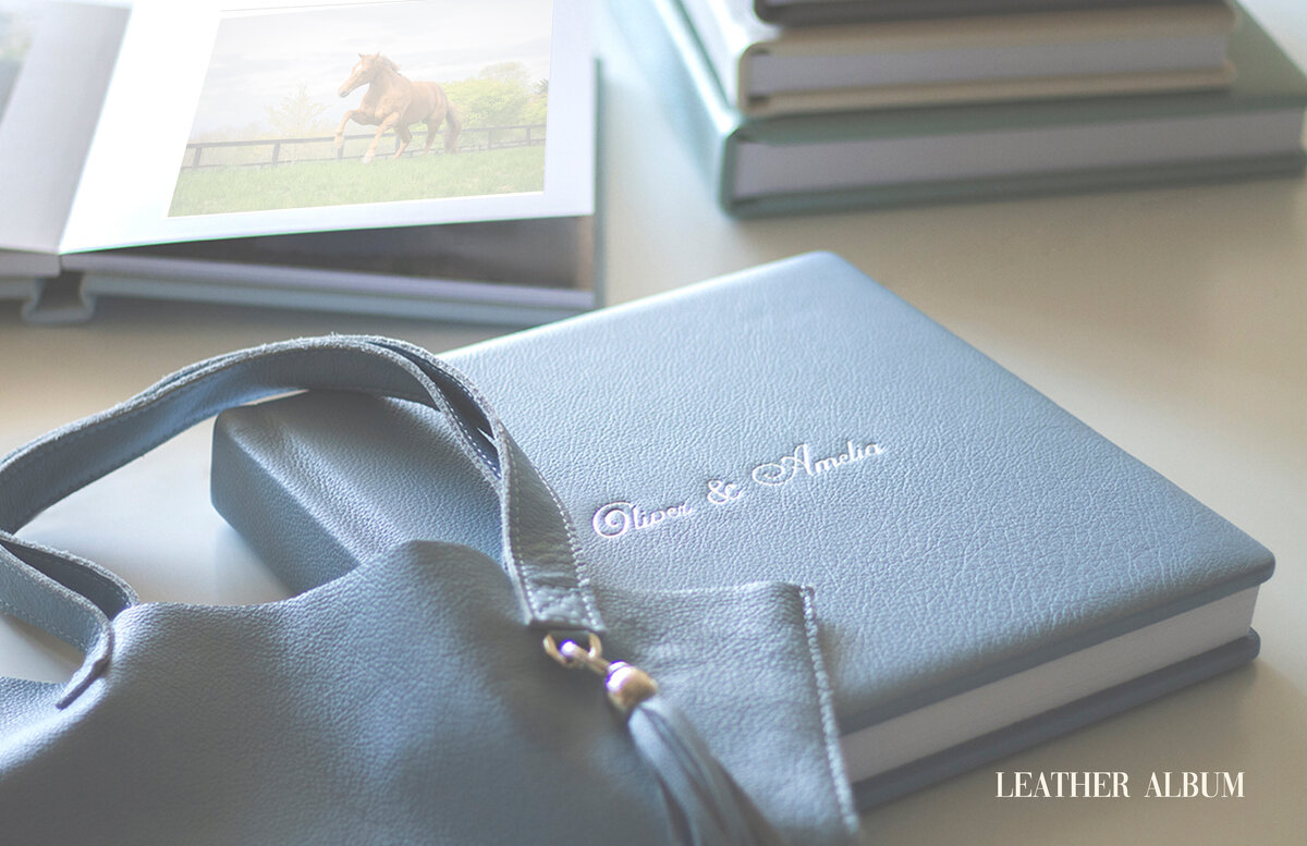 020 - pg 38-39  - Spread - Leather Album