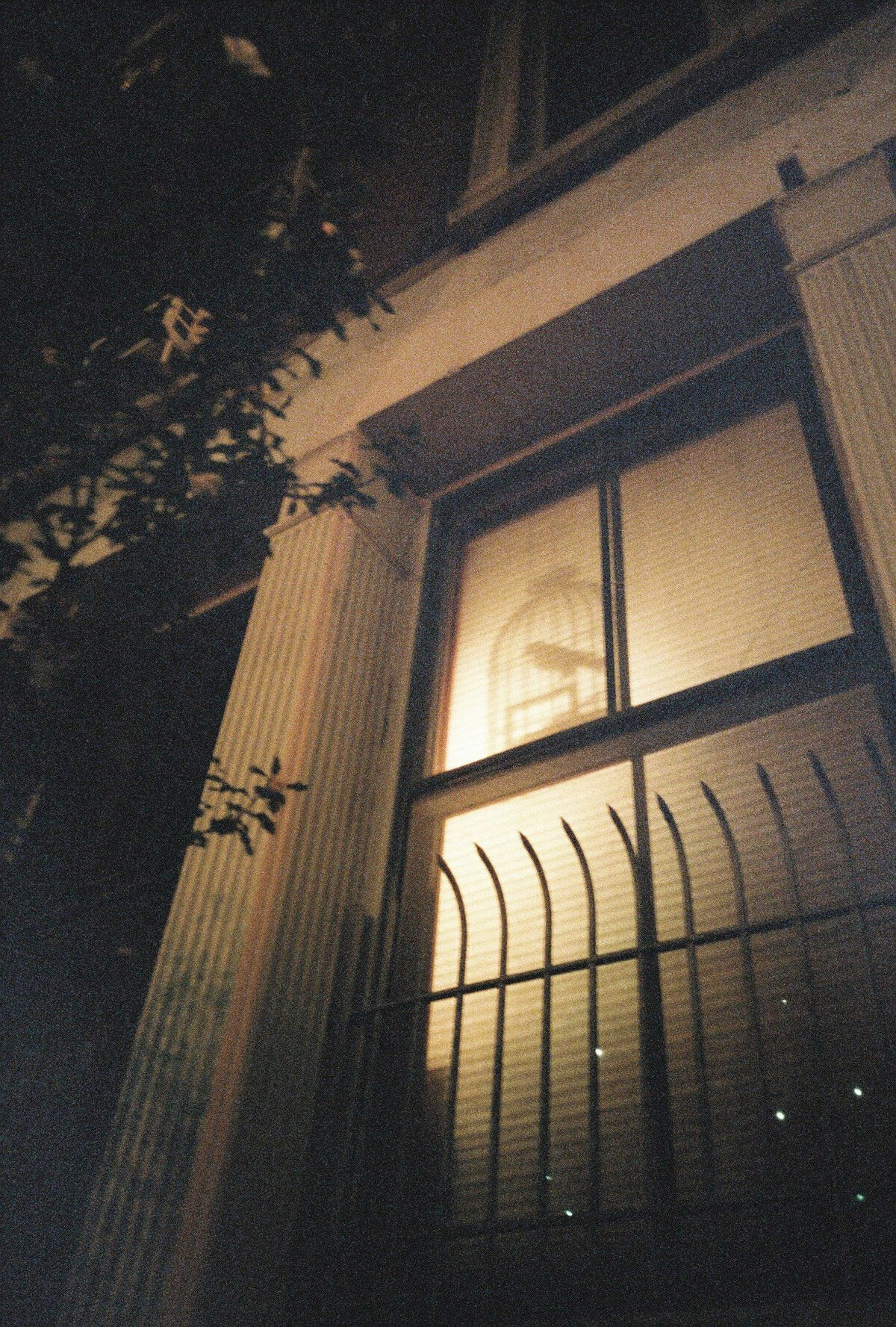 sydney-wedding-film-photographer-3