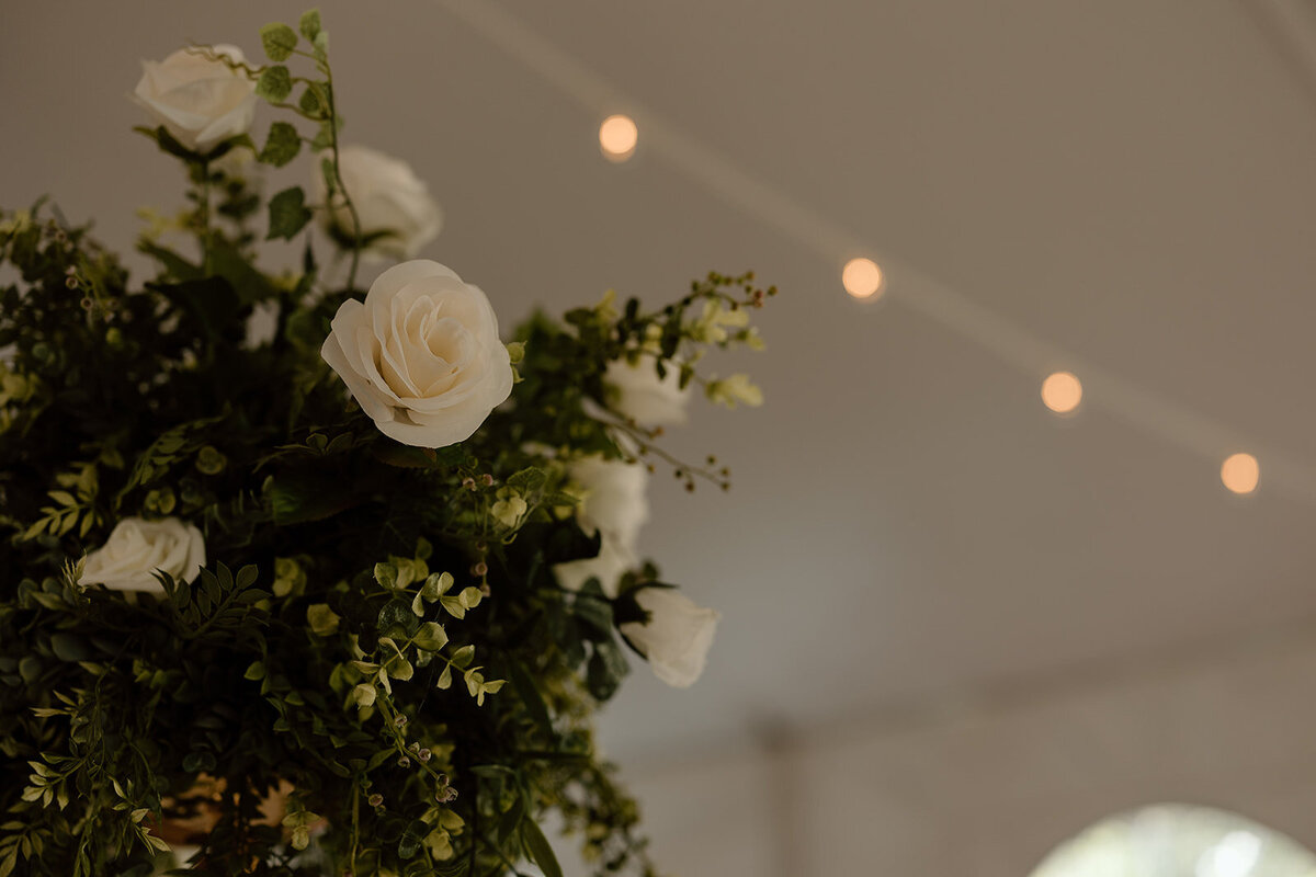 quad-cities-wedding-mallory-kory-romantic-14