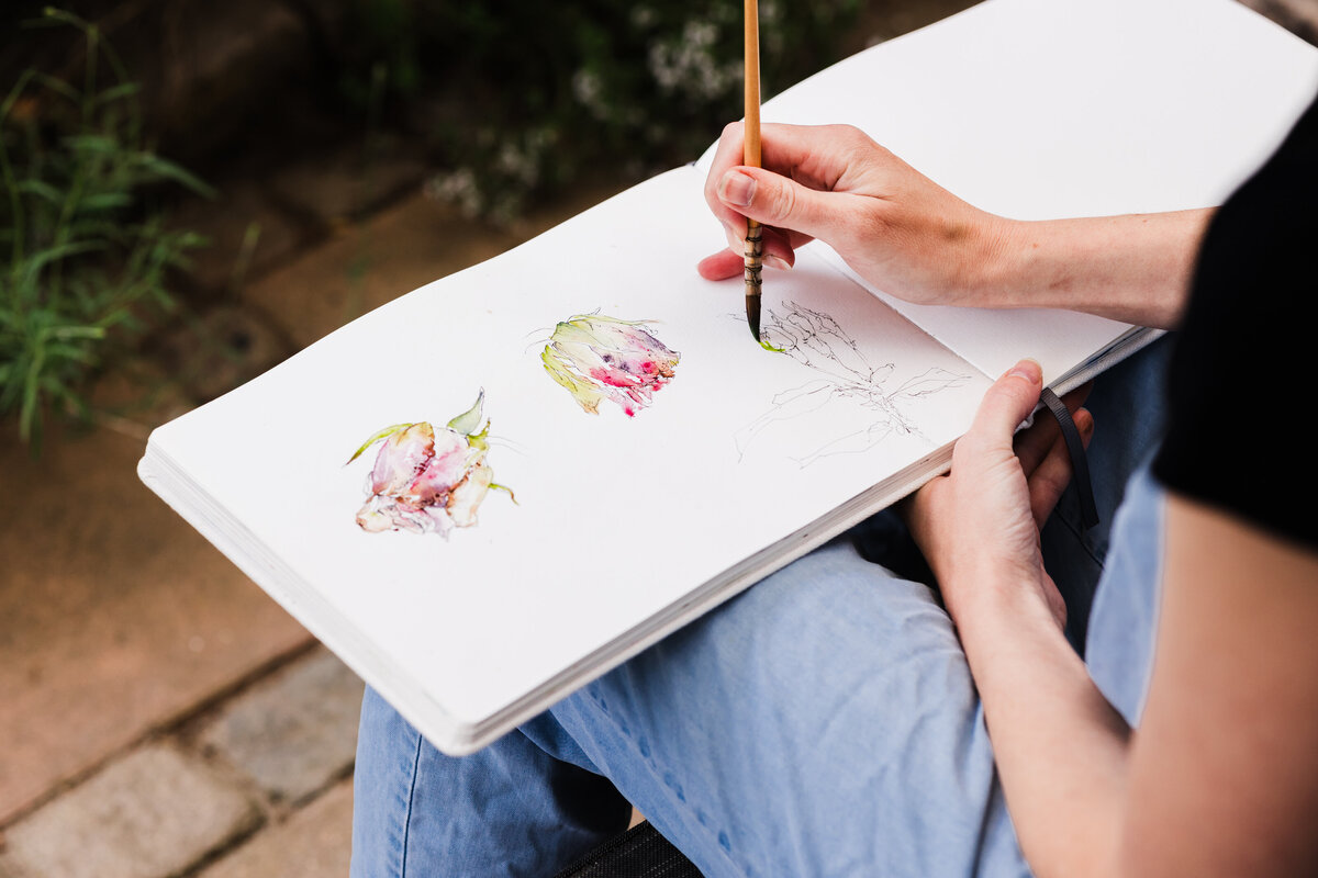 Camilla Damsbo Brx sketching line and wash roses in sketchbook