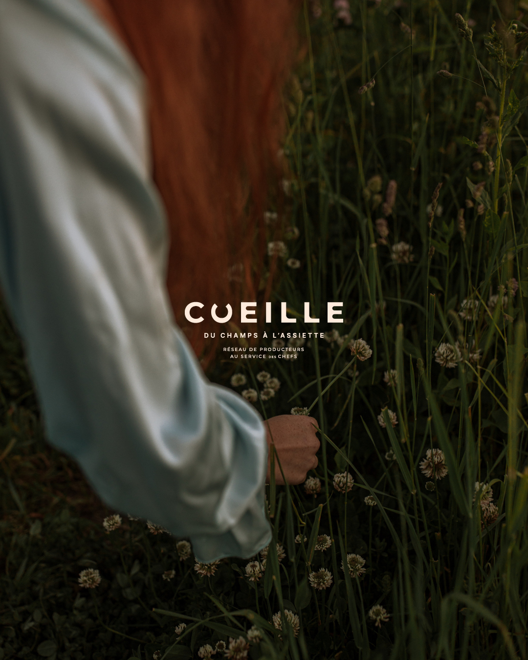 Cueille-Insta-018
