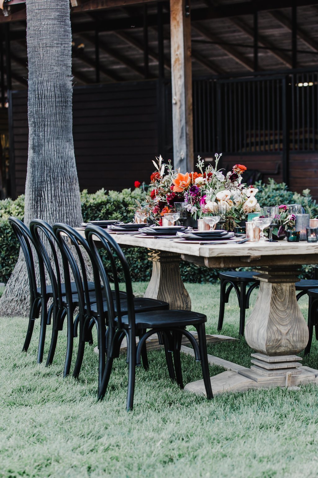 Beautiful Equestrian ROmance at Albert Court in California