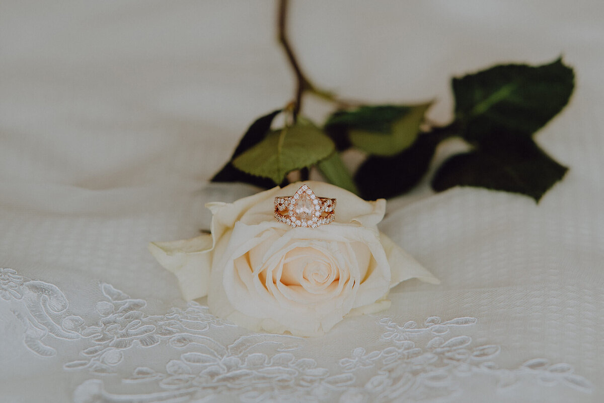 Union Brick by Wedgewood Wedding (3)