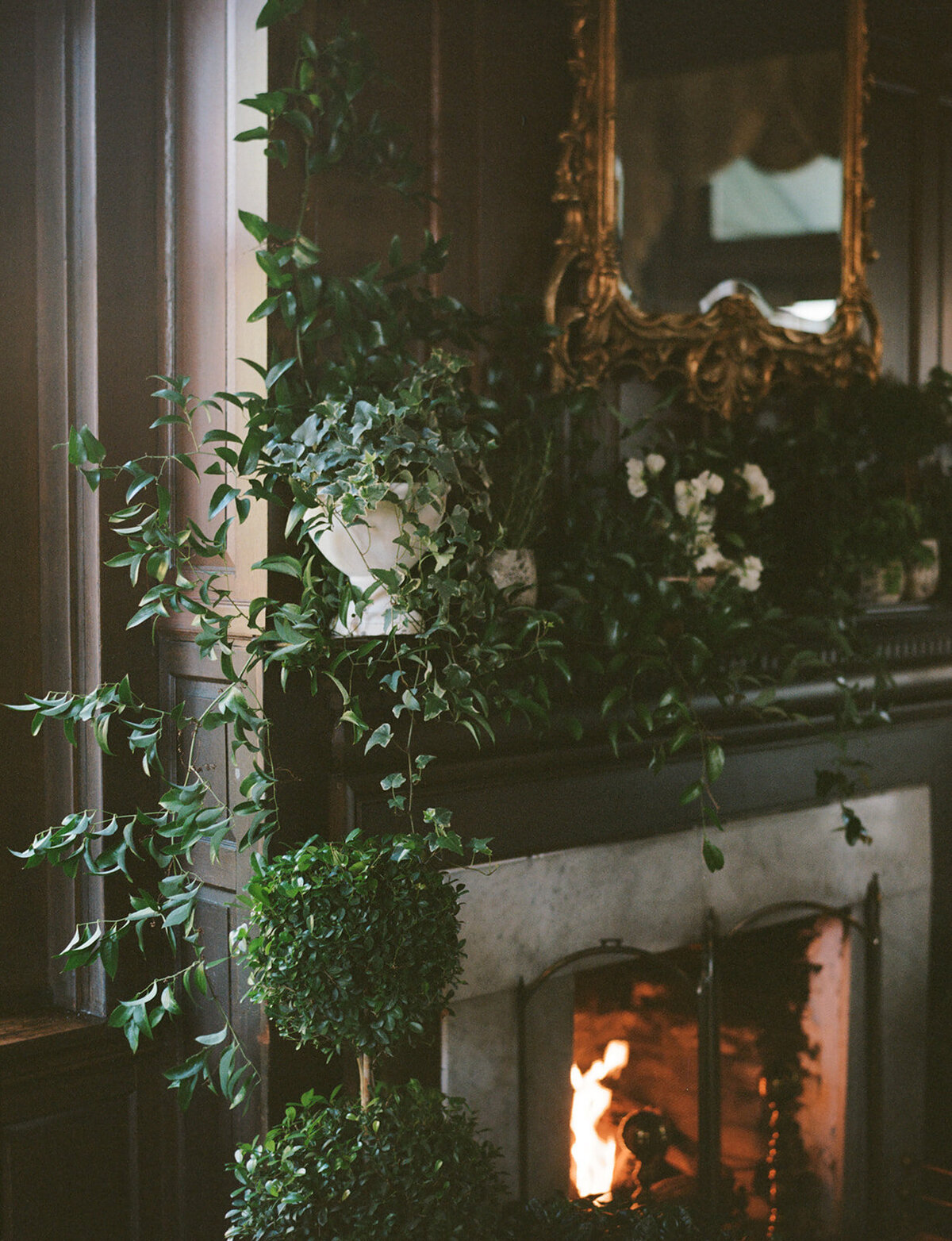 51-alexa-matt-fall-wedding-delaware-bellevue-hall-2024