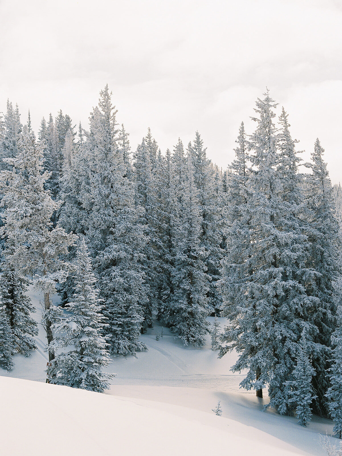 Neon Flux - Jennefer-17