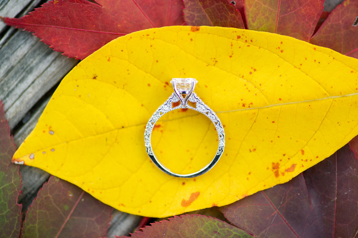 engagement ring on yellow leaf