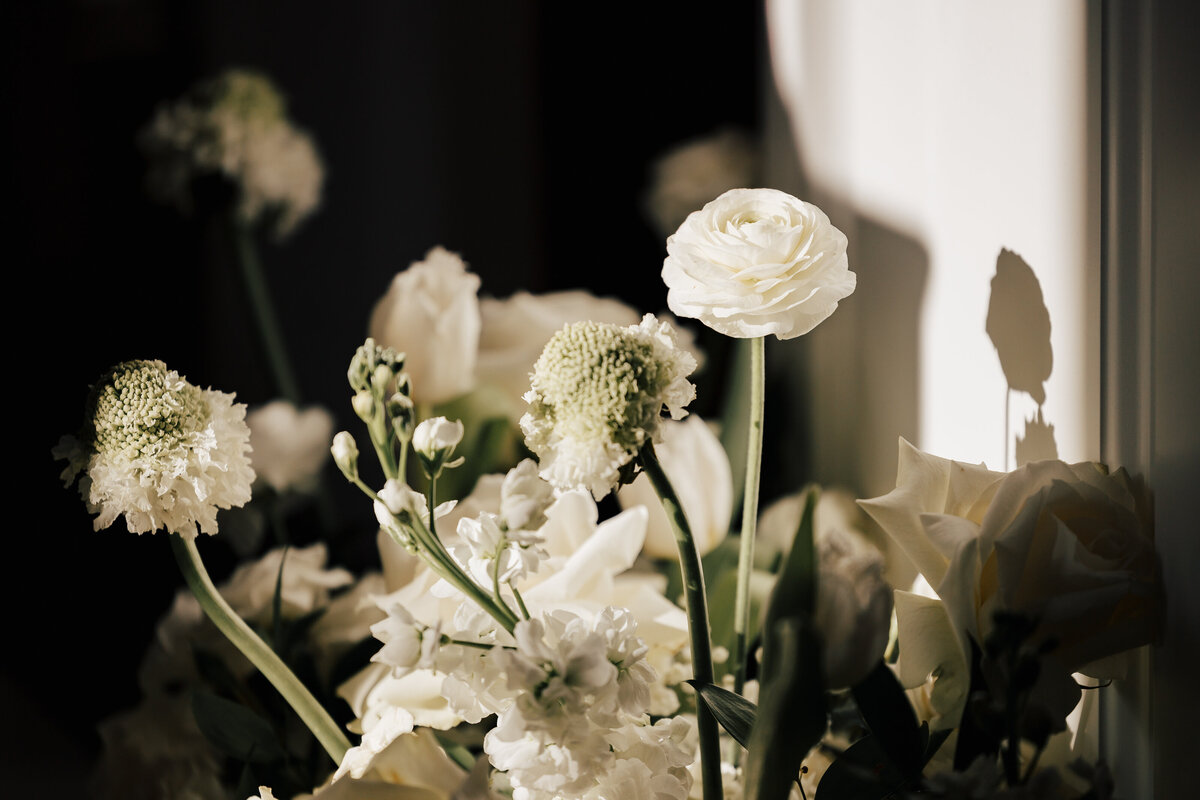 Brandi Allyse Dallas Wedding Photographer, Texas Wedding Photographer, Chicago Wedding photographer, California wedding photographer, New York wedding photographer, Fort Worth wedding photographer, Florida wedding photographer, Mexico wedding photographer