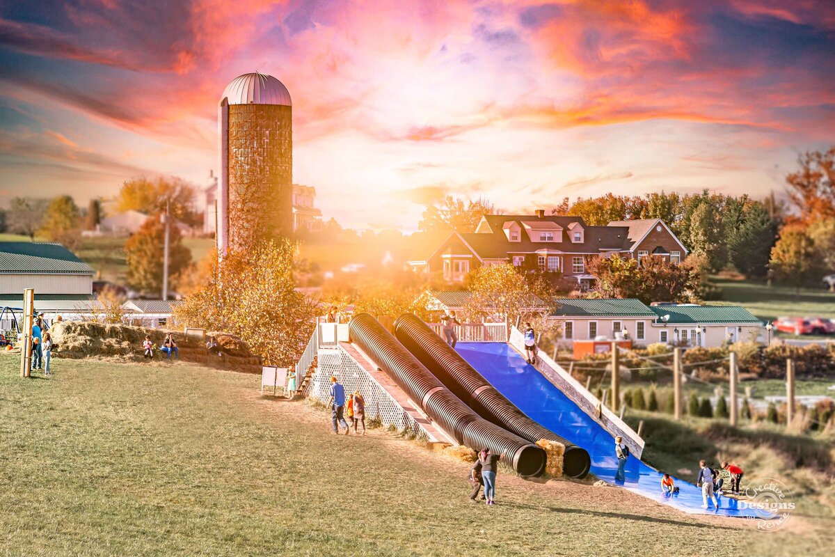 Sinkland-Farms-Festivals_kids-playing-big-slides-silo-sunset_creative-designs-by-renee_1780-edited-sm