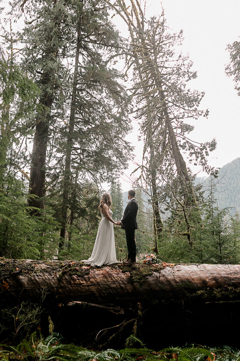 washingtonelopementphotographer-fernacreswedding-forkswashingtonwedding-pnwelopement-52