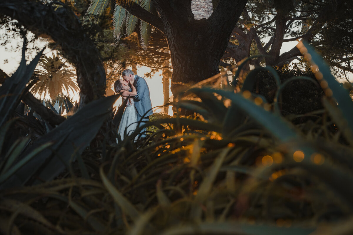 Jennifer + Brian Wedding Romantics-69