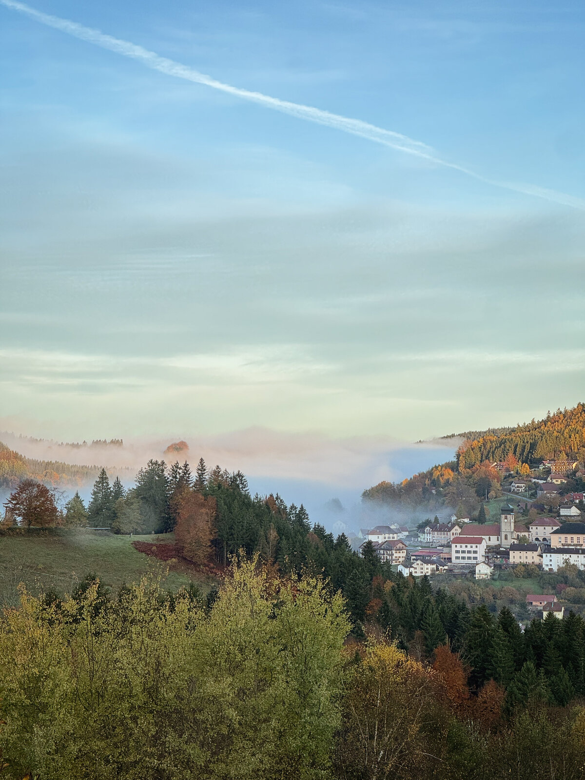 Vue Panoramique La Source Lily Paloma Collection