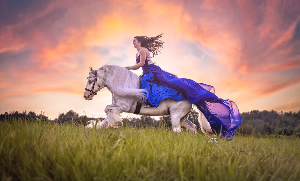 Gypsy-vanner-horse-9250©StunningSteedsPhoto-LowRes-tu