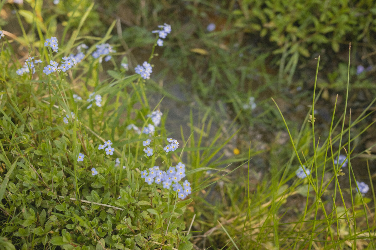 DSCF6843 (2)