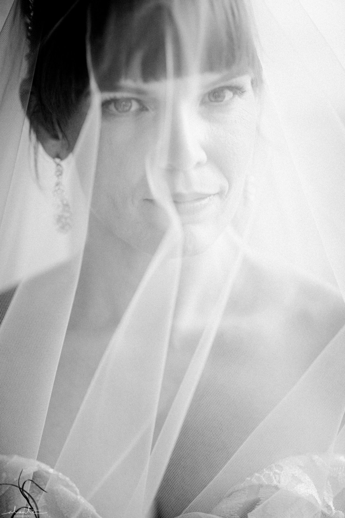 Black and white photo of bride under vail