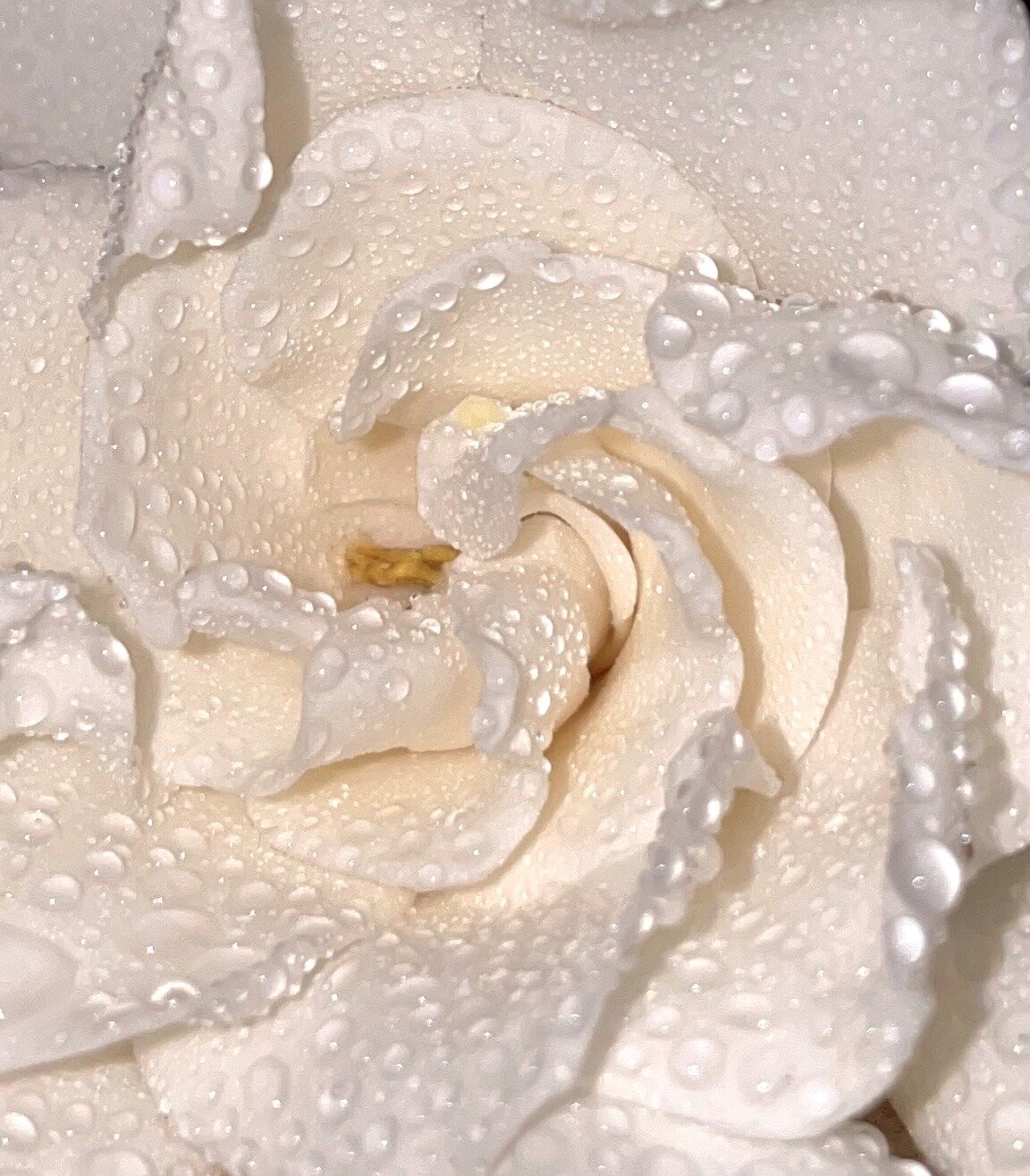 Studio styling & Product Photography_ADP Studio