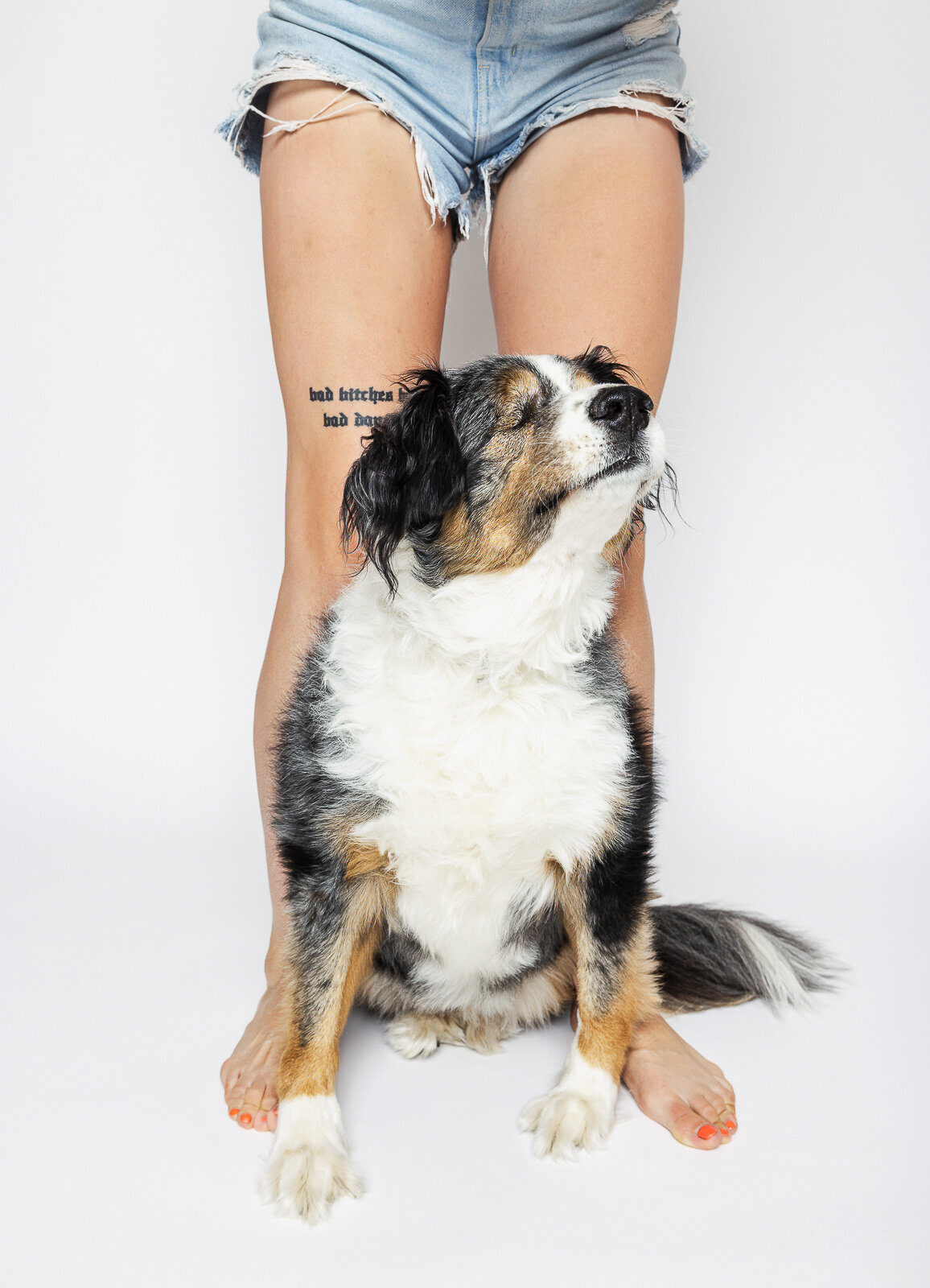 Kaori Stewart_Studio Dog Portrait_143