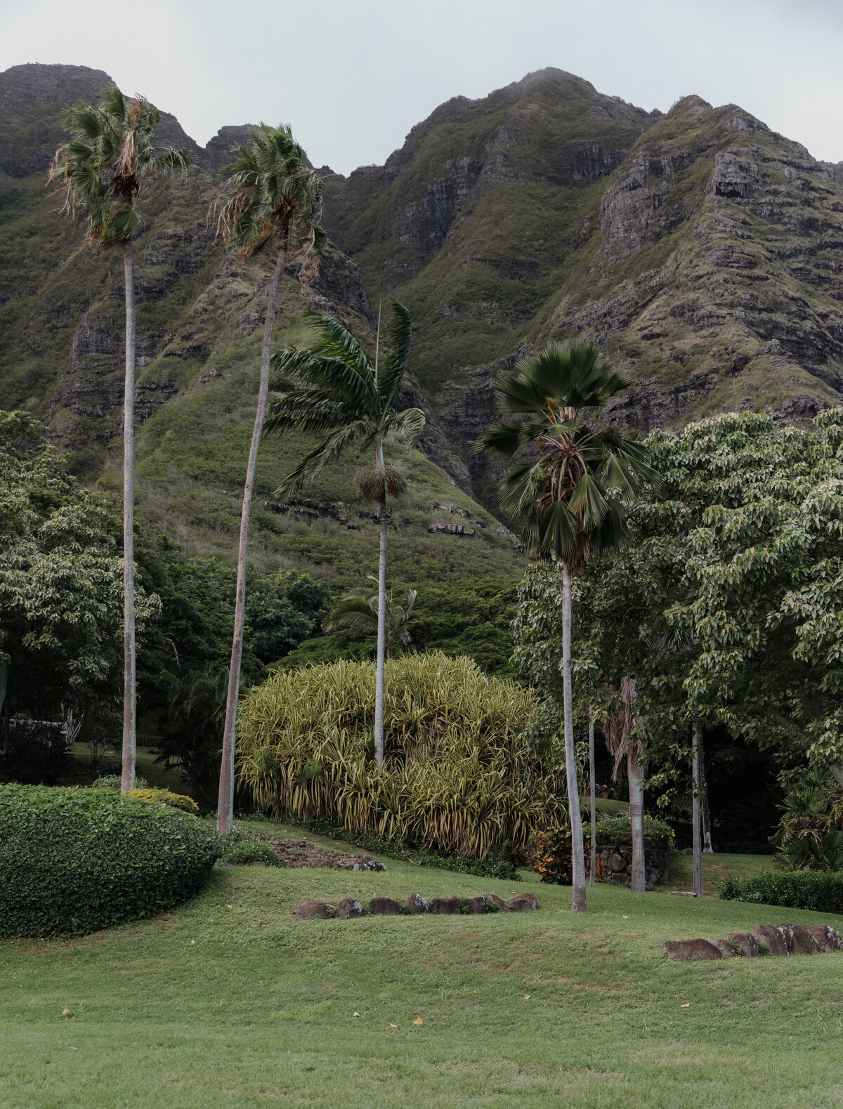 S&S Final Gallery-223