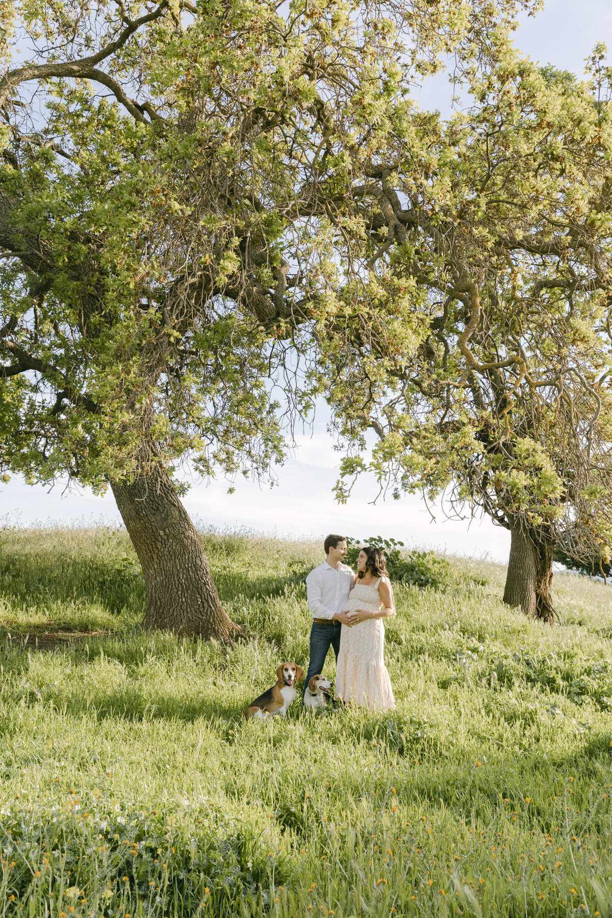 PERRUCCIPHOTO_SPRING_OPEN_FIELD_WILD_FLOWER_MATERNITY_4