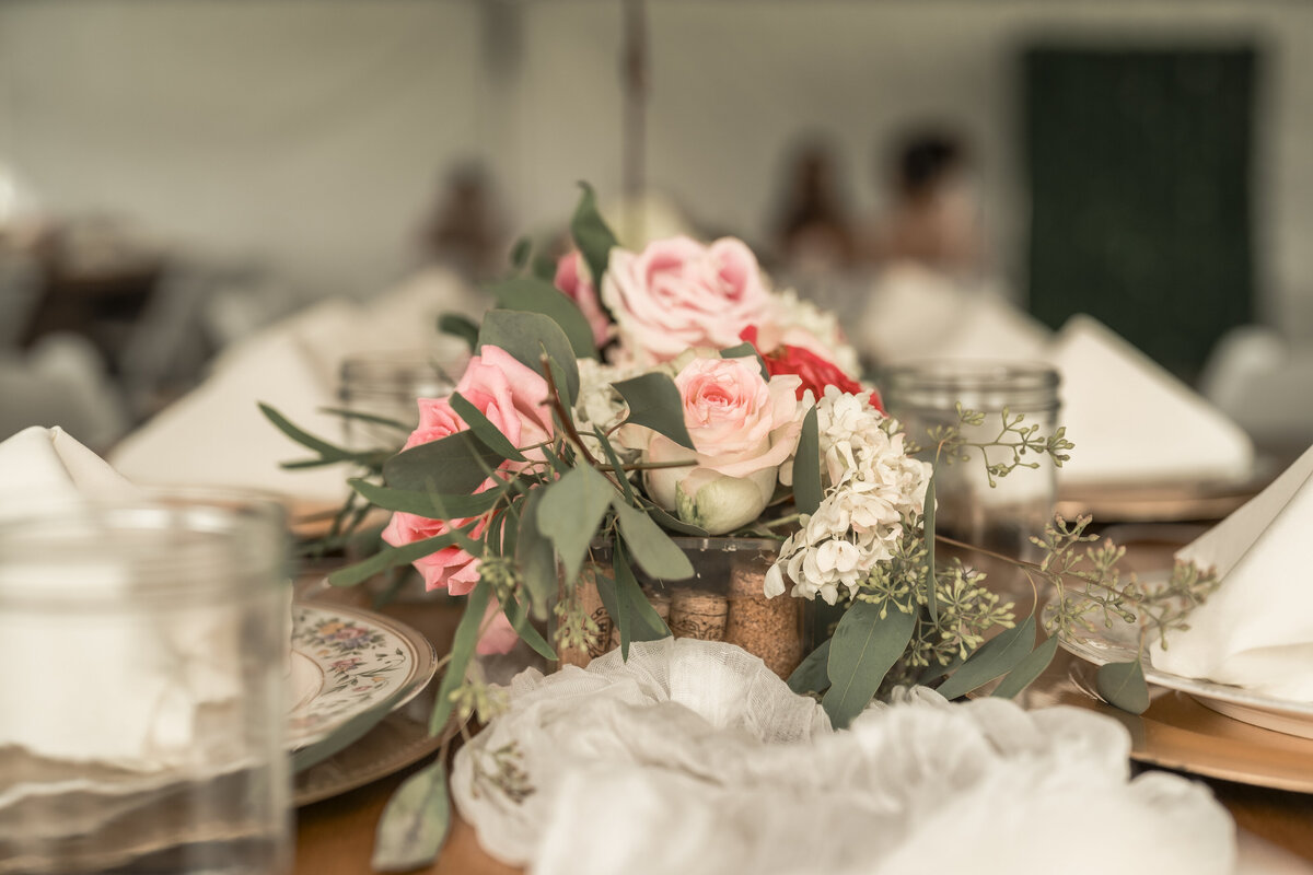 Buffalo NY and Rochester NY and WNY Wedding Photographer Finger Lakes region Wedding Photographer Zugibe Vineyards