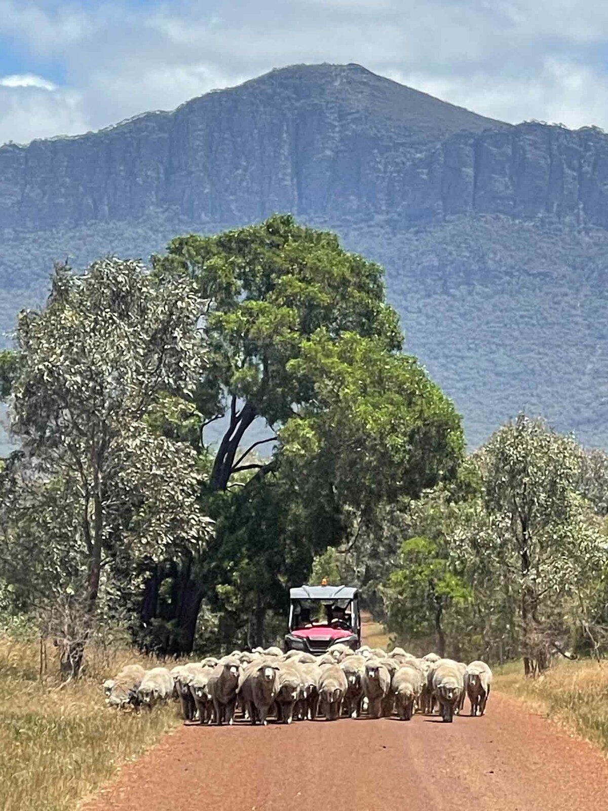 Mount Abrupt Plains farm