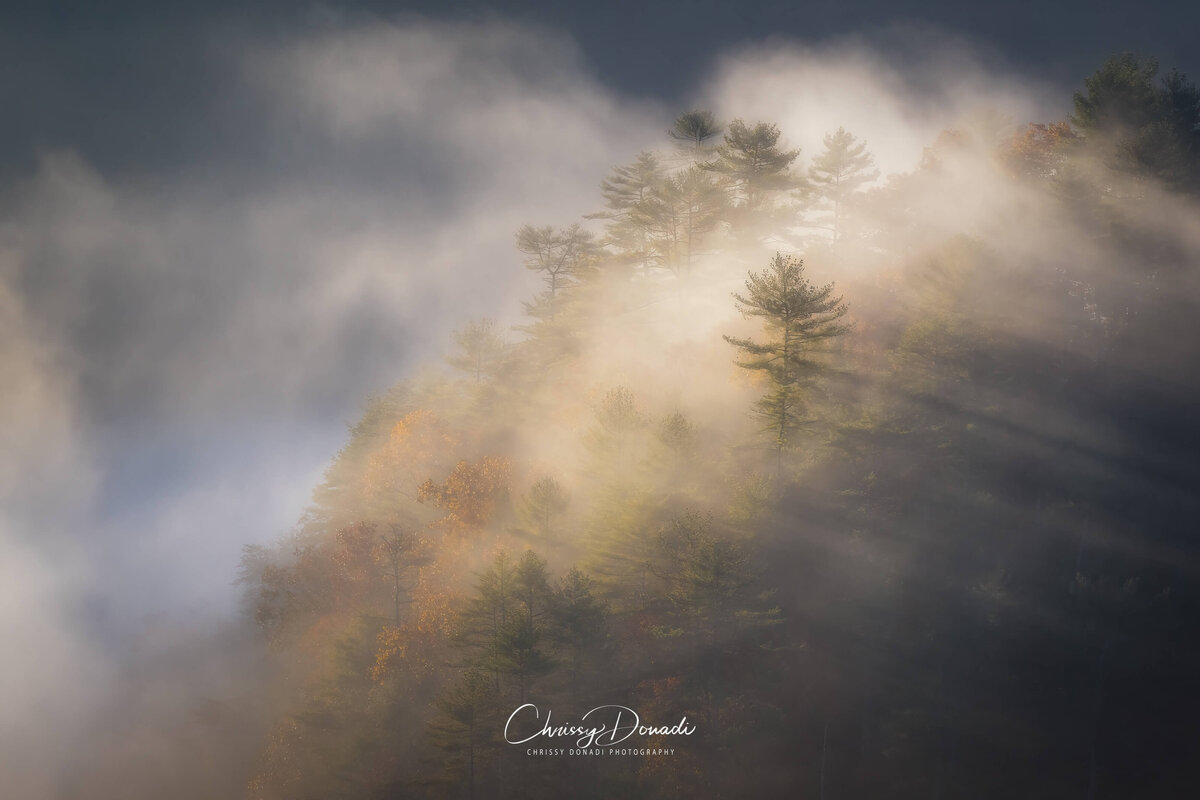 2022.10-Nature-TN-Smoky-Mountains-NP-Misty-Mountain-Chrissy-Donadi-Landscape-Photography