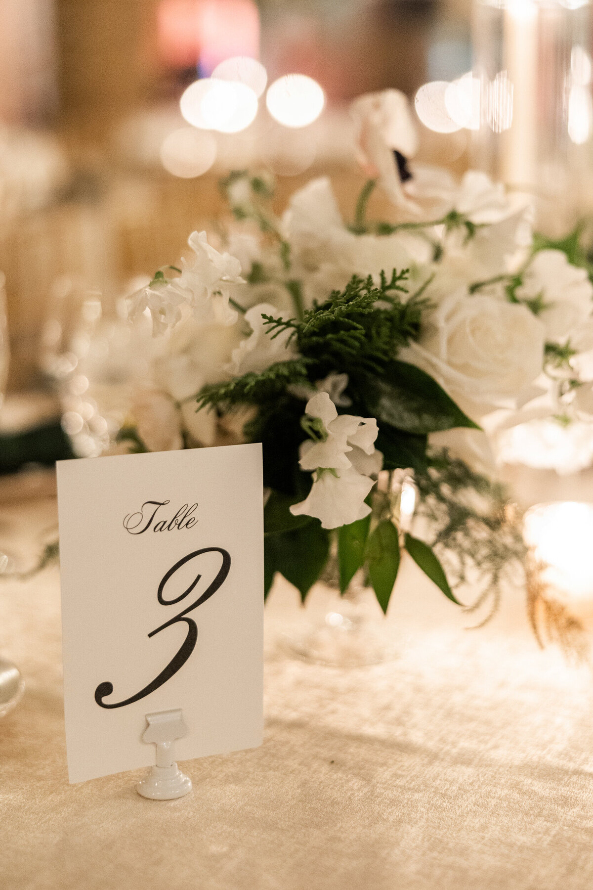 winter-chicago-wedding-the-drake-184