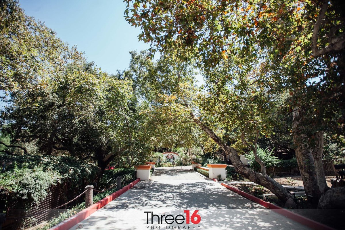 Rancho Las Lomas Wedding Venue pathway amongst the trees