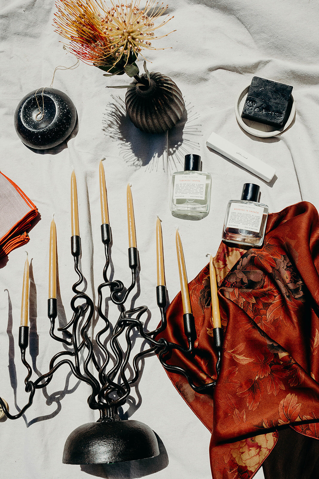 Shop_Cochineal_Danipadgett2023-122_websize