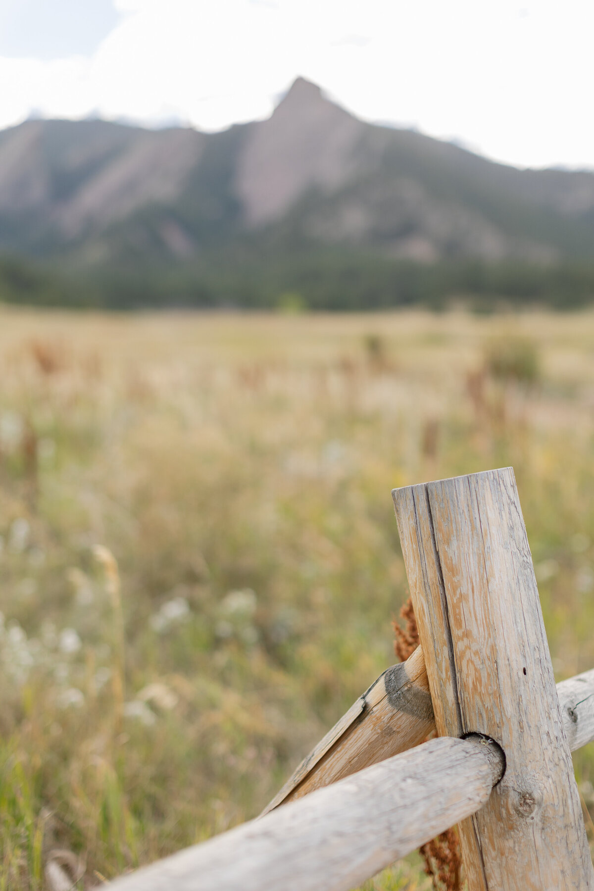 Colorado Mountain Engagement Session-1