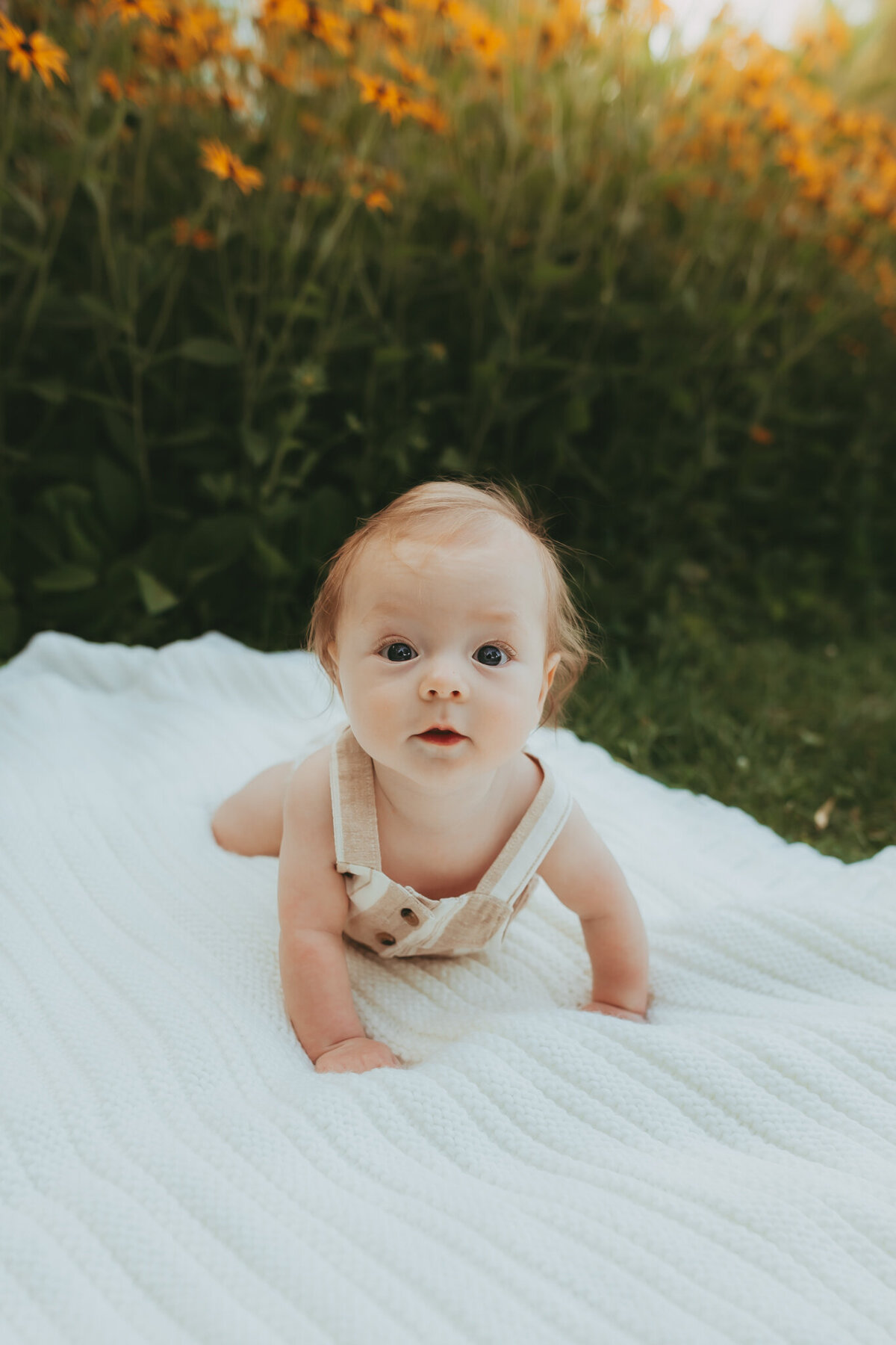 lindsay-wilson-photography-105