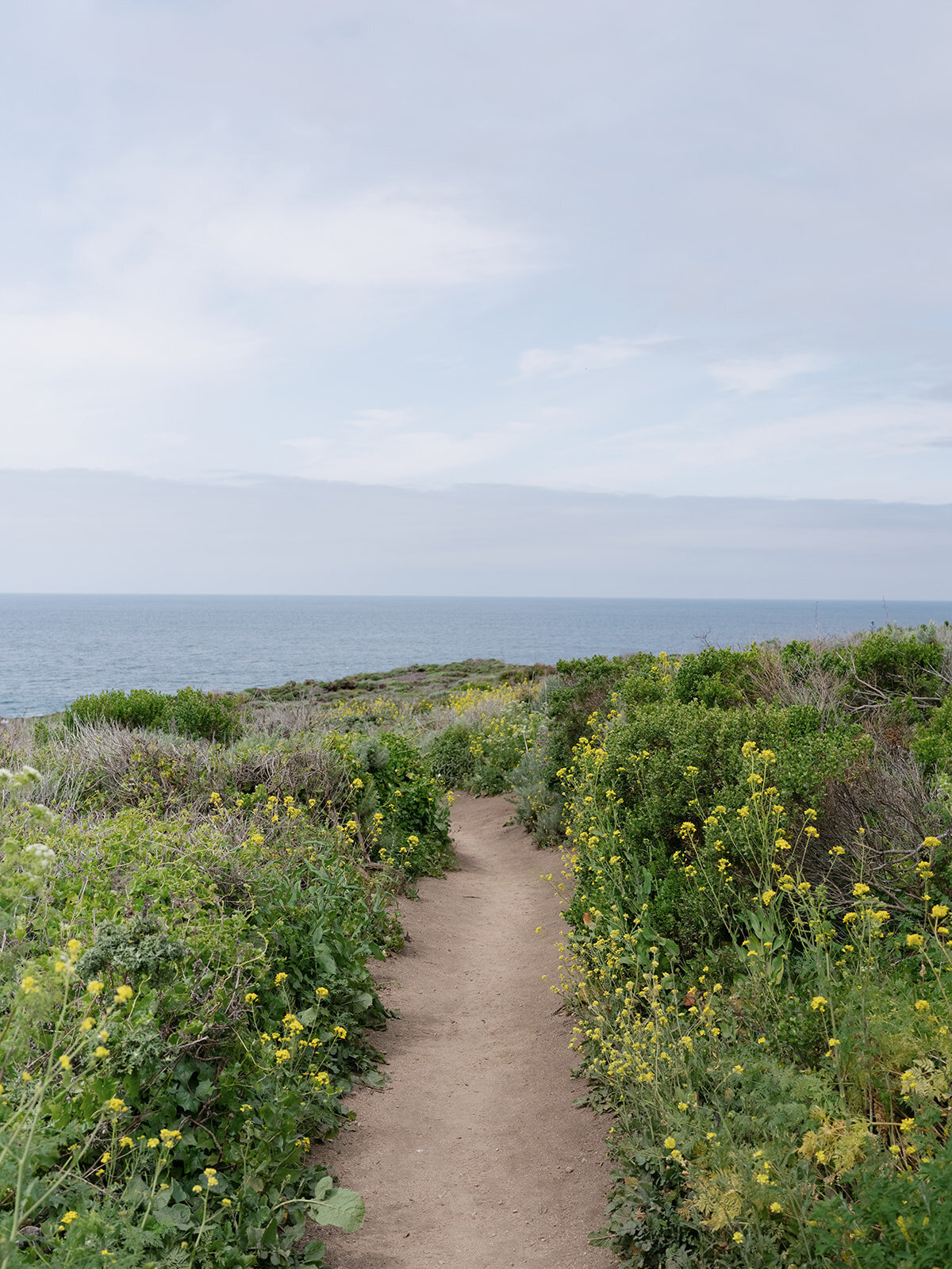 loui_photography-14