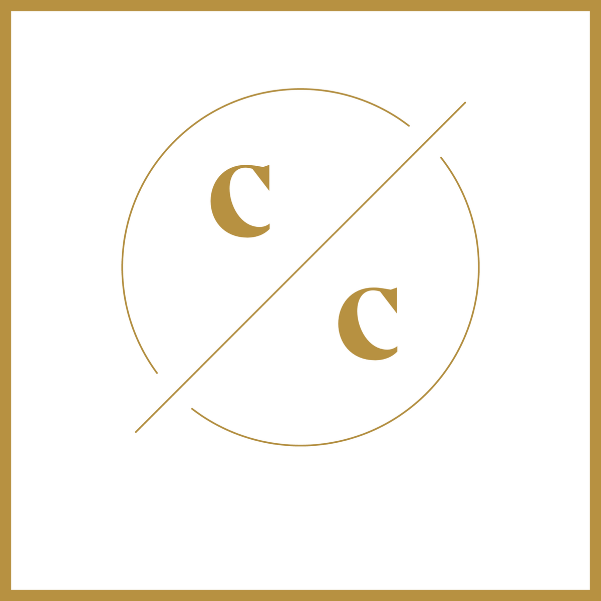 The Common Creative, a creative digital marketing agency