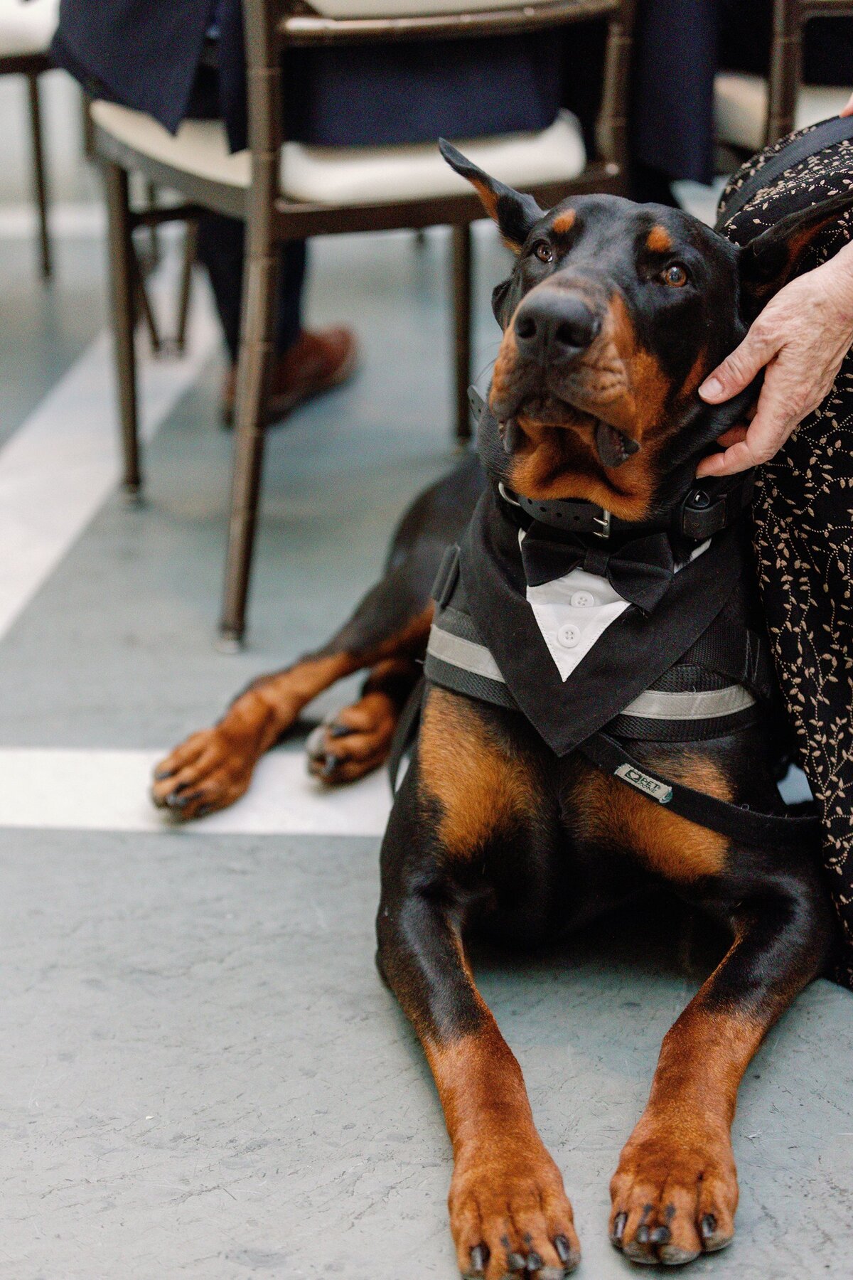 Virginia-Wedding-Planner-Katie-and-Shudee-Chrysler-Museum-of-Art-9