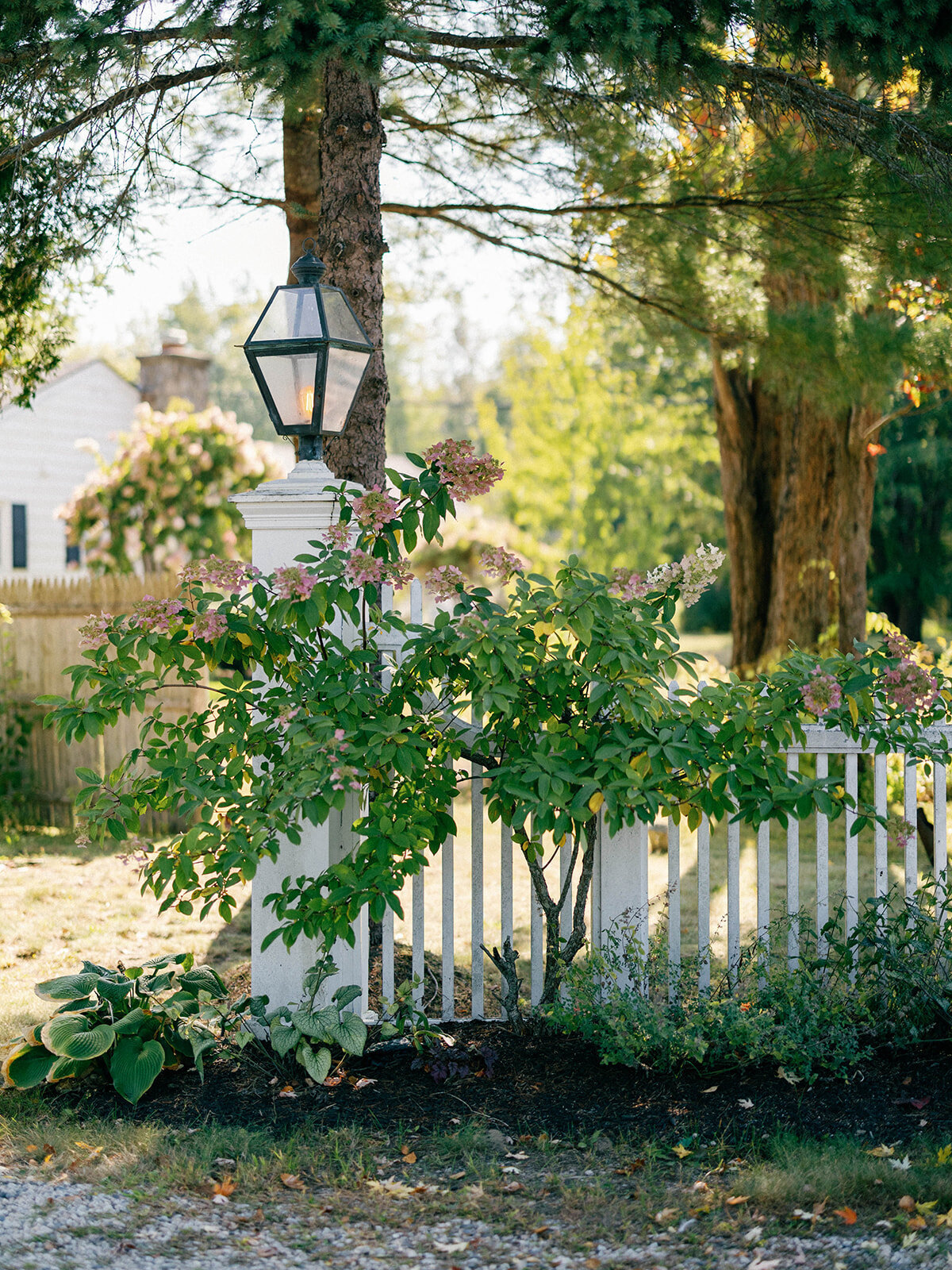 240914_TLC_KBWedding-157