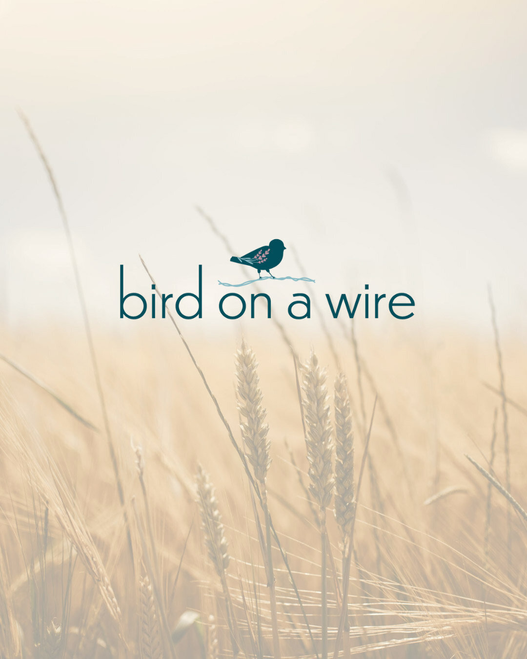 brand-identity-design-signature-package-sprary-horizontal-logo-baer-brand-studio