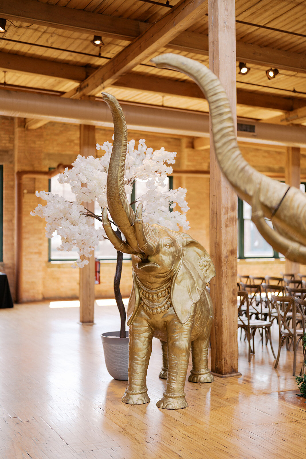 ian-rempel-photography-maddie-sachin-wedding-photos-1455