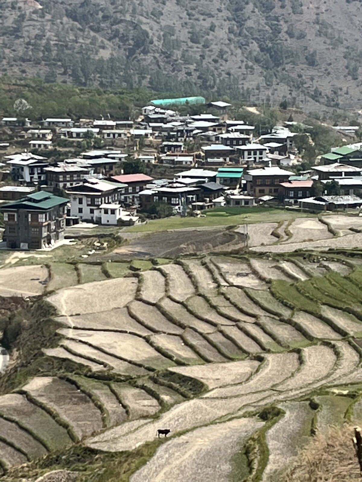 bhutan 1