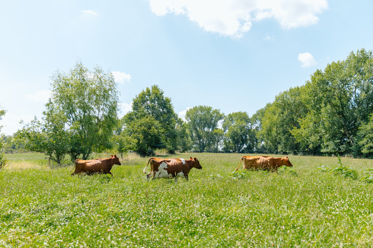 Rere_workeshop3-4-02.25-7119