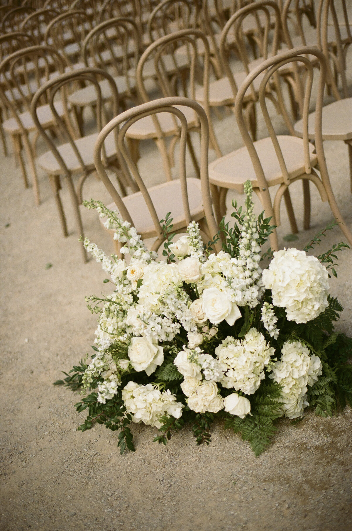 Film Paso Robles Wedding Photographer-9