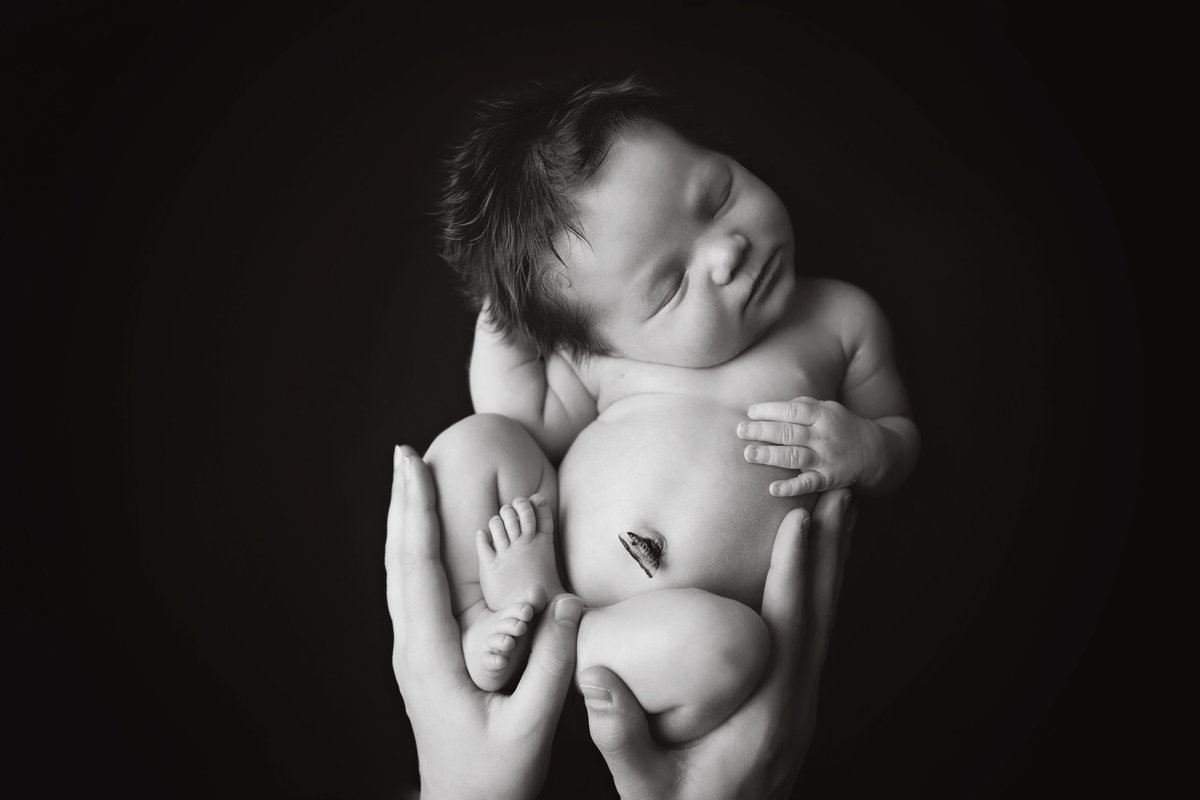 mainline newborn photographer 23