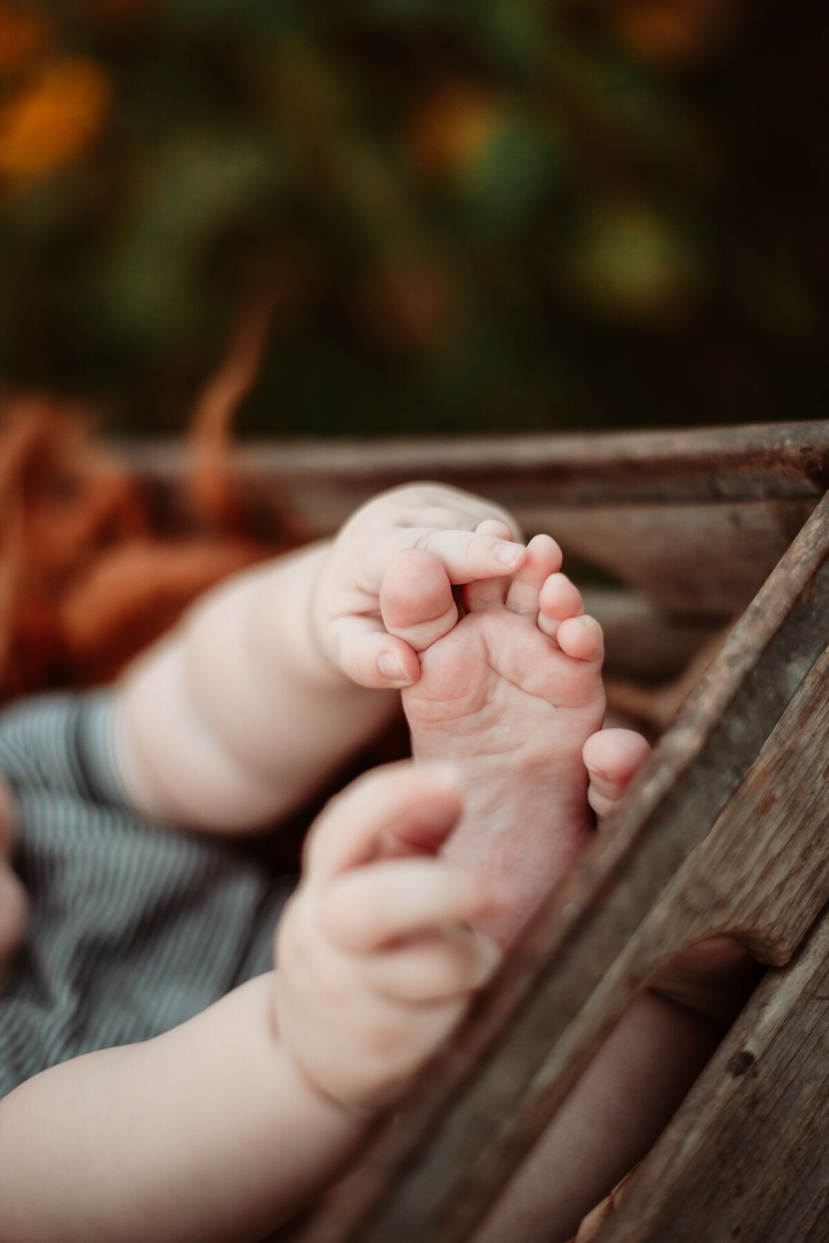columbus-ohio-family-photographer-106