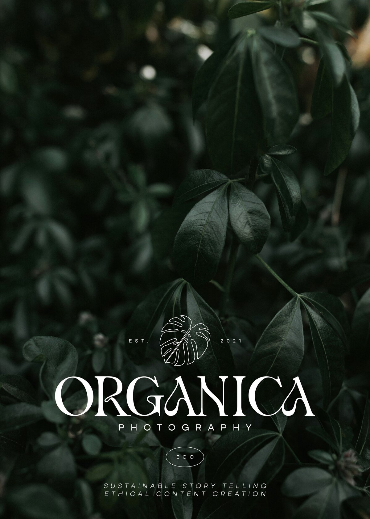 Dark-Leaf-Textures-Organica(1)