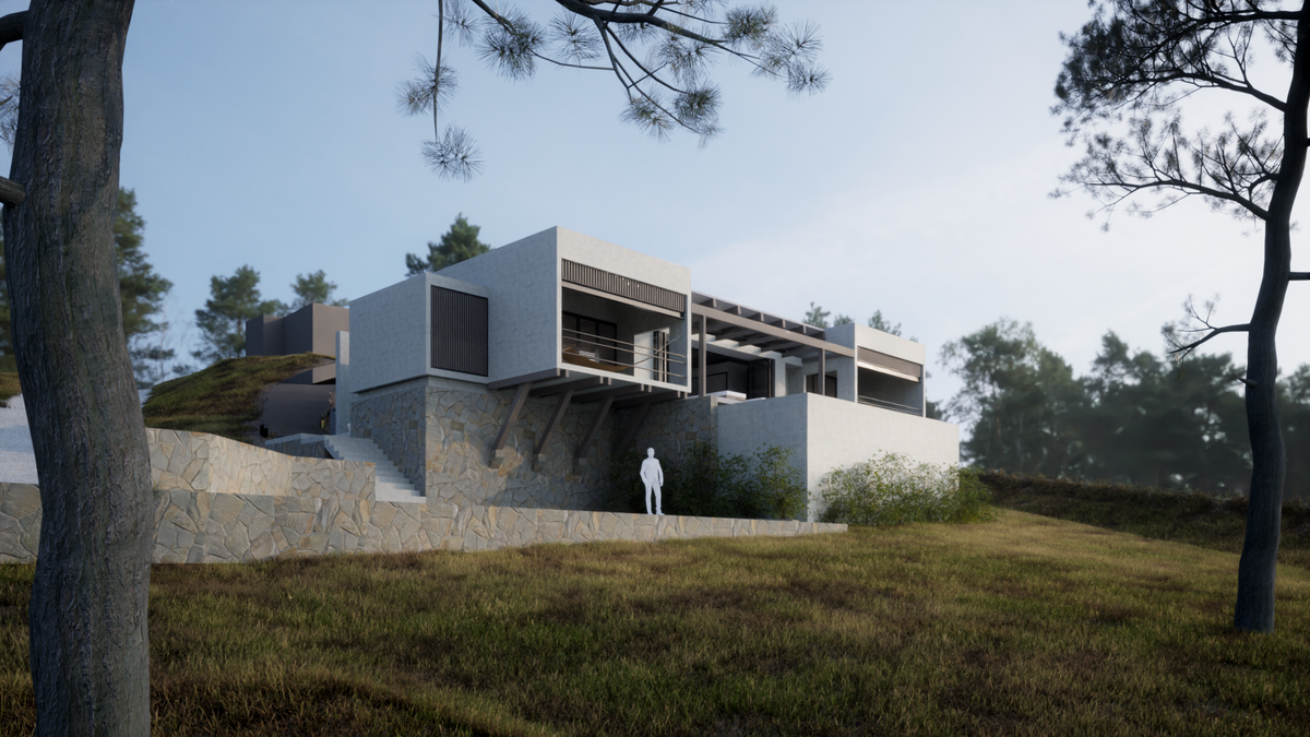 Image1