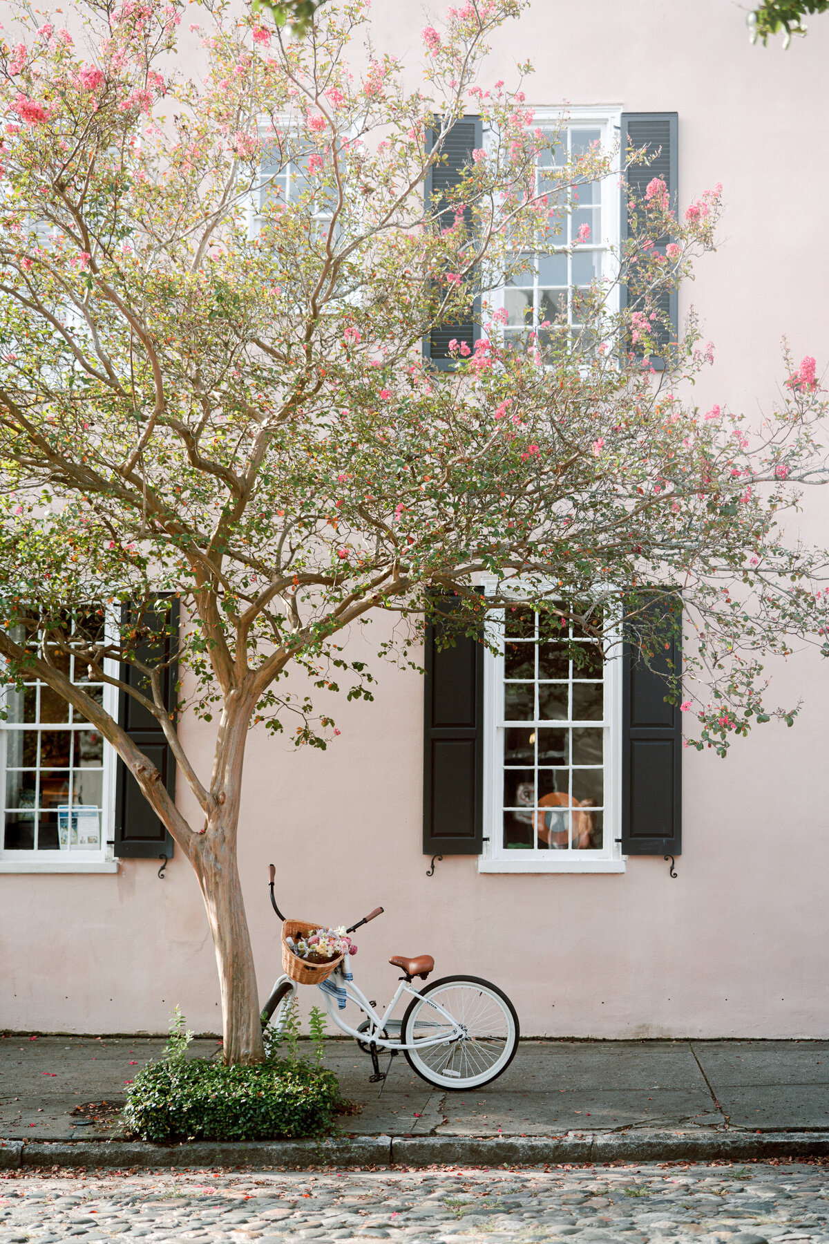 charleston-engagement-jen-symes-1