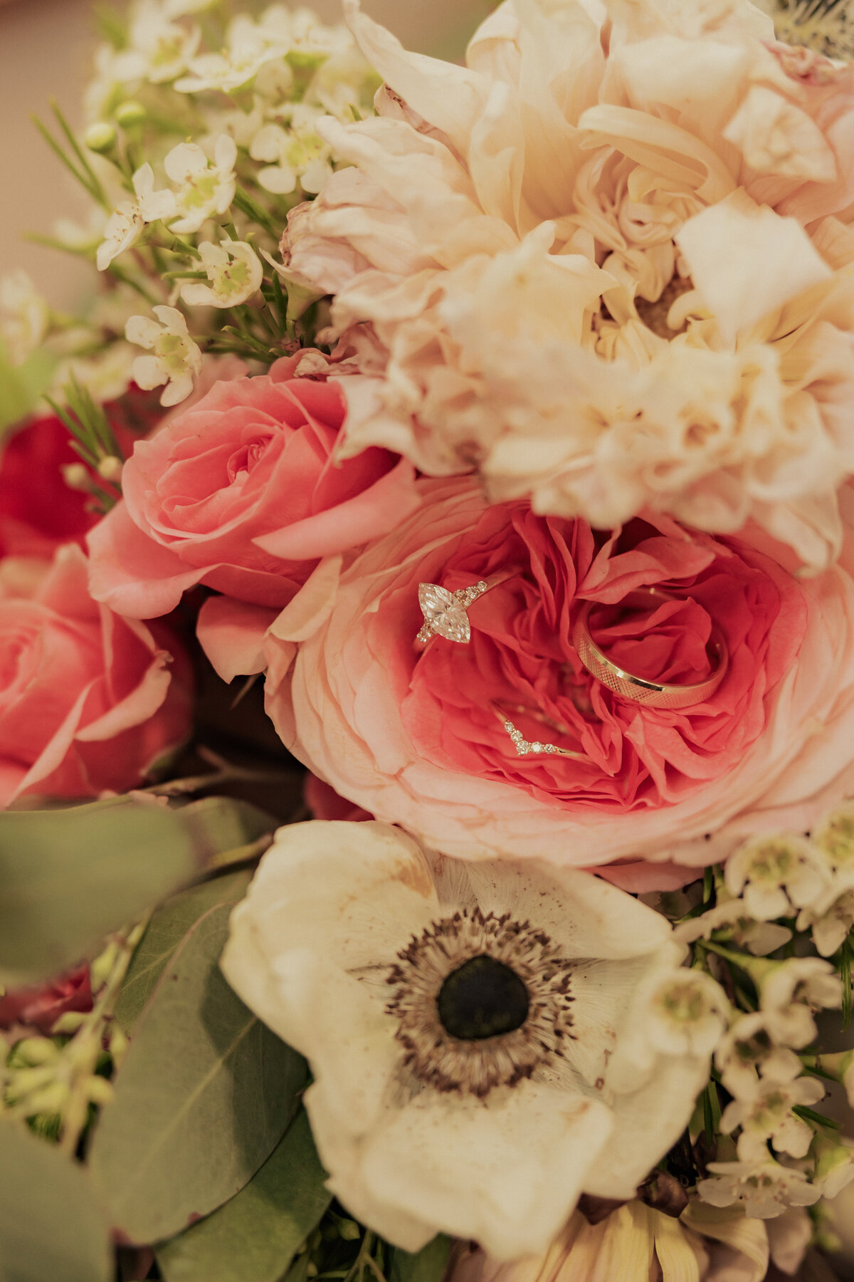 elliehofphotography-- t+l-365