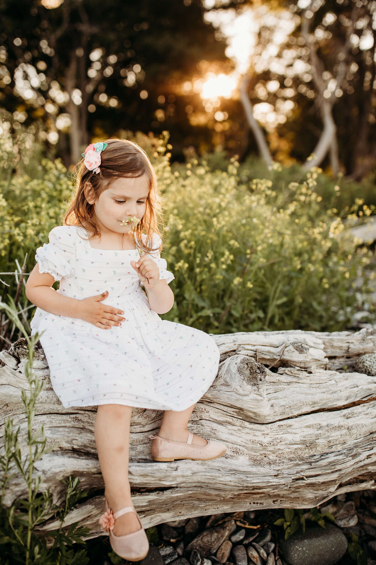 New_Hampshire_Family_Photographer-32