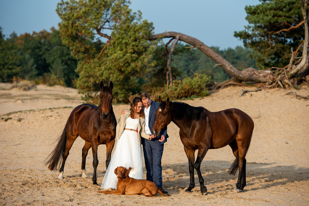 Bruiloft - Juliette fotografie -061