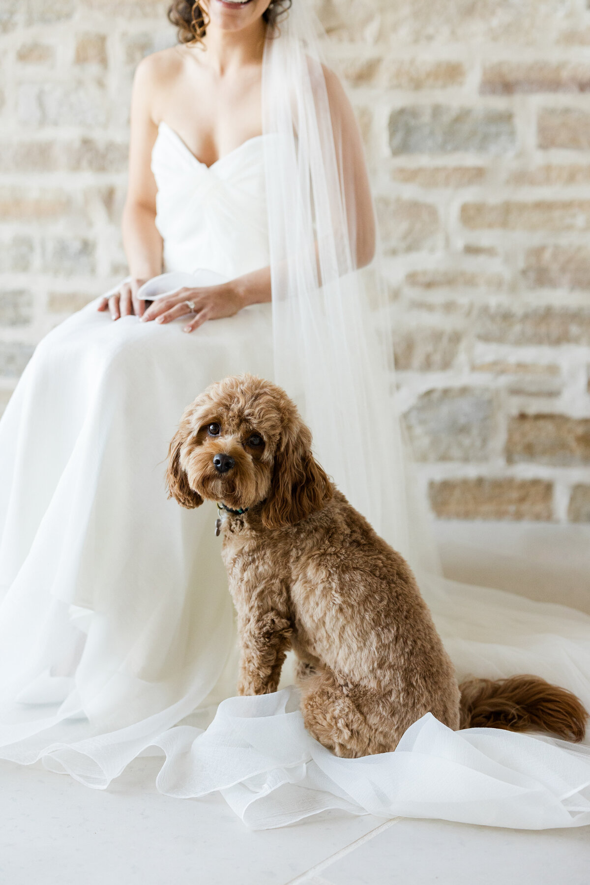 the-cannons-photography-cleveland-wedding-photographers-35