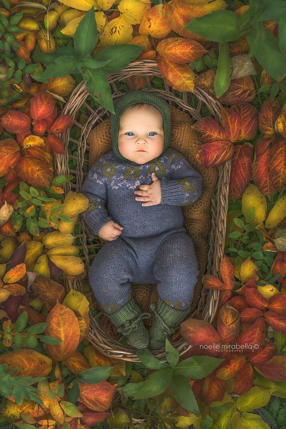 Baby outdoors laying in wicker basket in autumn leaves.