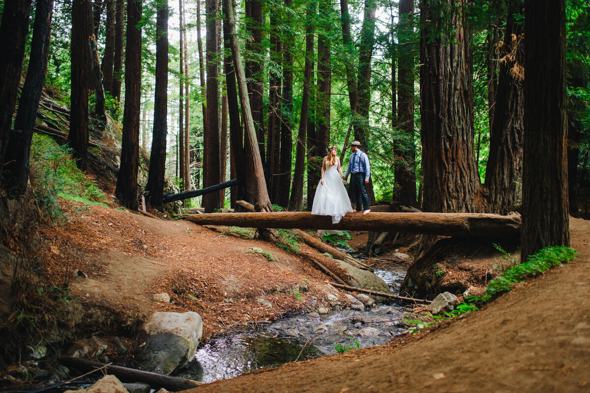 couple stand on fallen tree